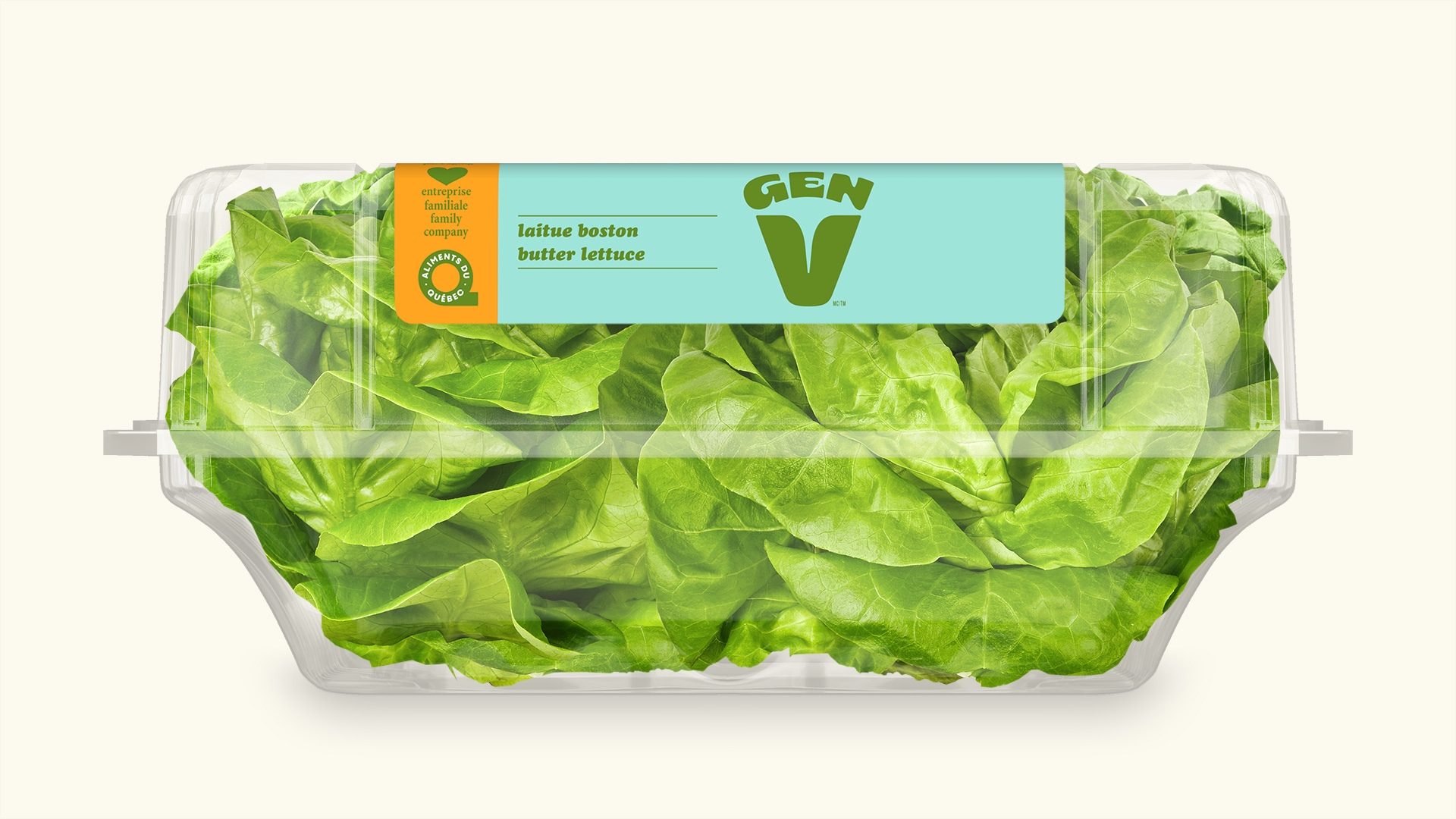 2 laitues Boston Cultures Gen V